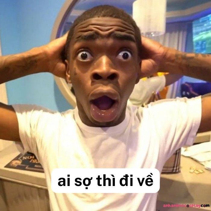 ai sợ thì đi về meme bựa nhất